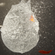 Image for article titled Shooting Challenge: 1/1000 Gallery 2